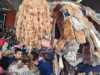 IMG-20240926-WA0020