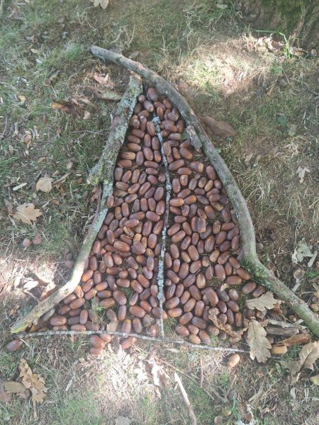 20251002_145608_copy_765x1020 20251002_145608_copy_765x1020