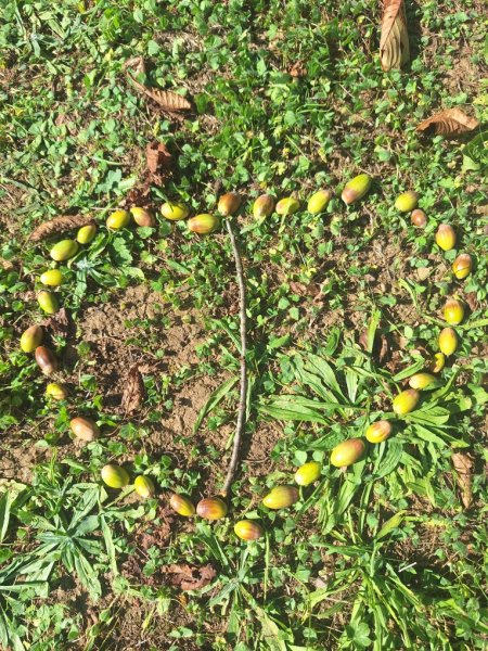 20251002_145639_copy_765x1020 20251002_145639_copy_765x1020