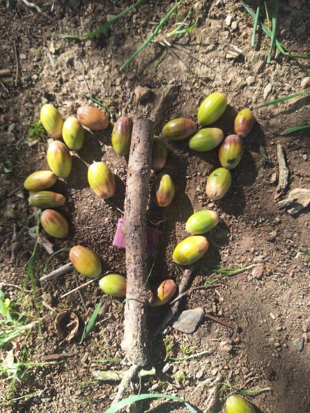 20251002_145829_copy_765x1020 20251002_145829_copy_765x1020