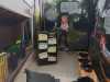 IMG-20250227-WA0018