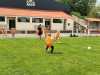 IMG-20250502-WA0043
