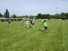 IMG_20250502_144803_copy_1000x750