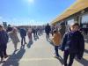IMG-20250315-WA0174