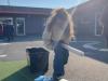 IMG-20250315-WA0081
