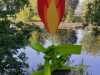 IMG-20240524-WA0015