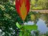 IMG-20240524-WA0016