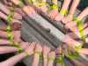 IMG-20240524-WA0055