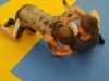 IMG-20250627-WA0012