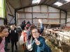 IMG_20240408_103716_copy_1000x750